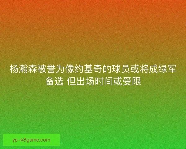 杨瀚森被誉为像约基奇的球员或将成绿军备选 但出场时间或受限